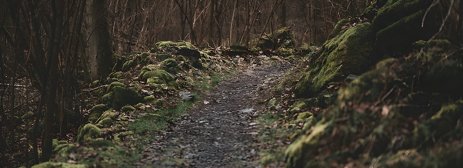 Schmaler Waldweg zwischen bemoosten Steinen
